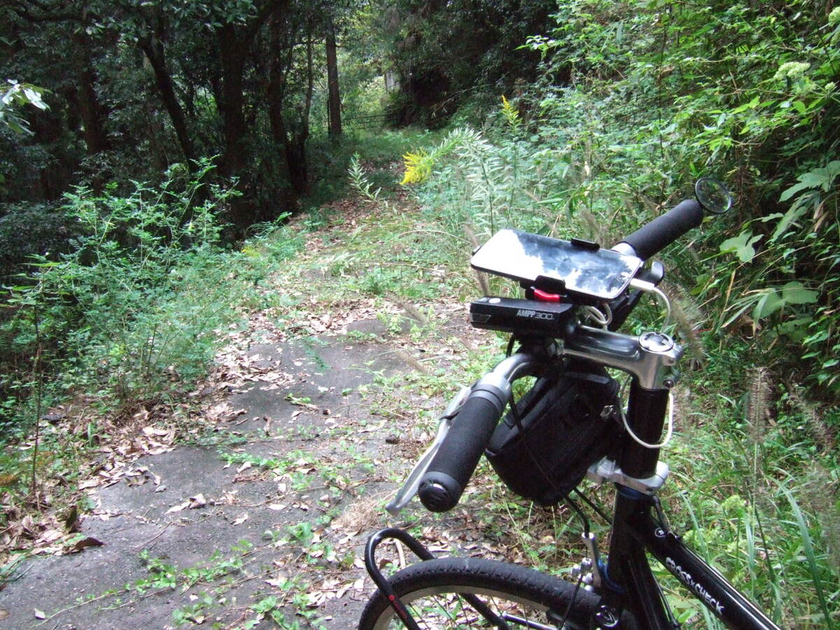 A bicycle parked in front of an unpaved pathway through forestland, largely overgrown with weeds and branches.