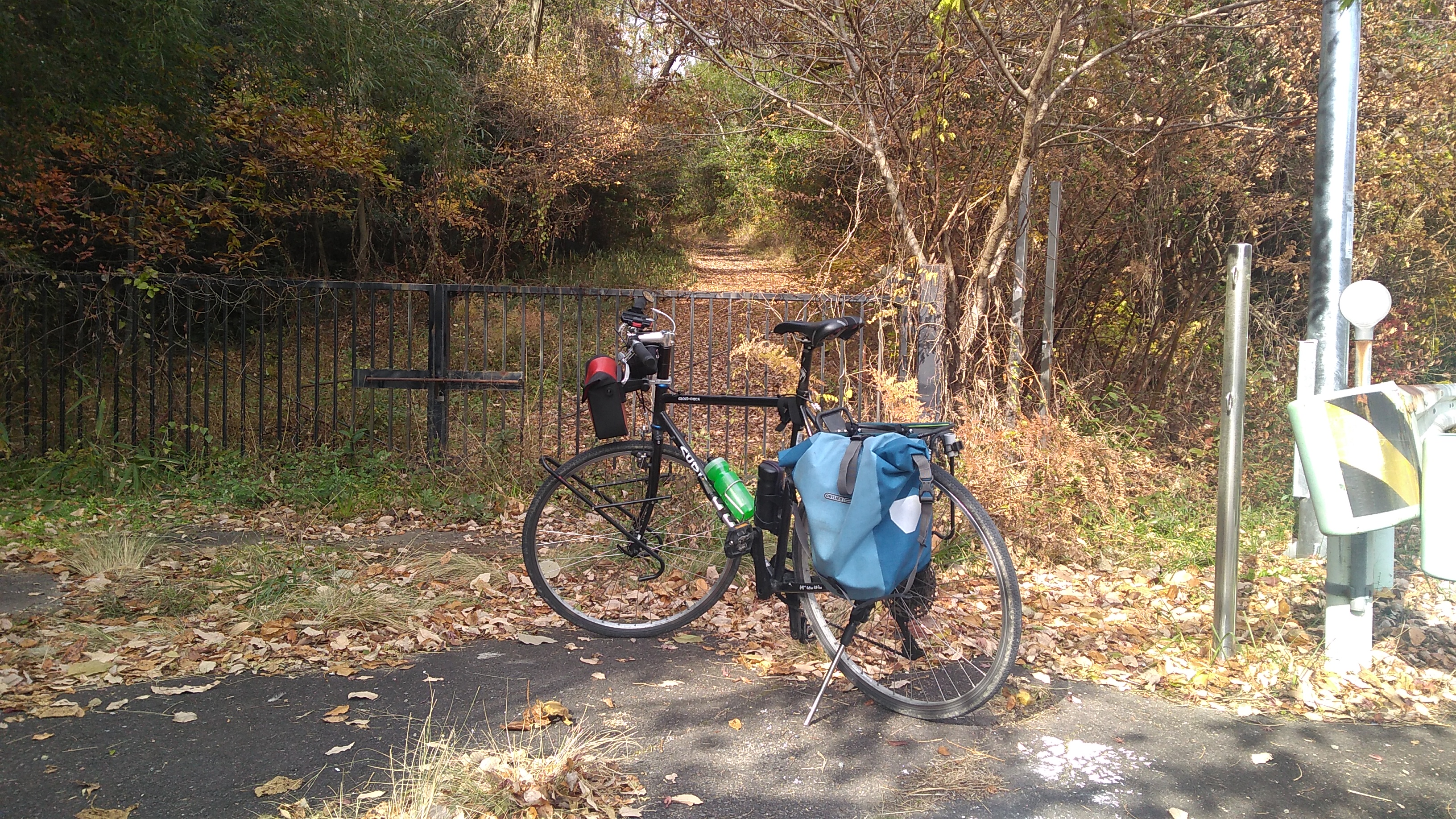 A bicycle parked in front of a steel gate, with forest stretching up a hill behind the gate.