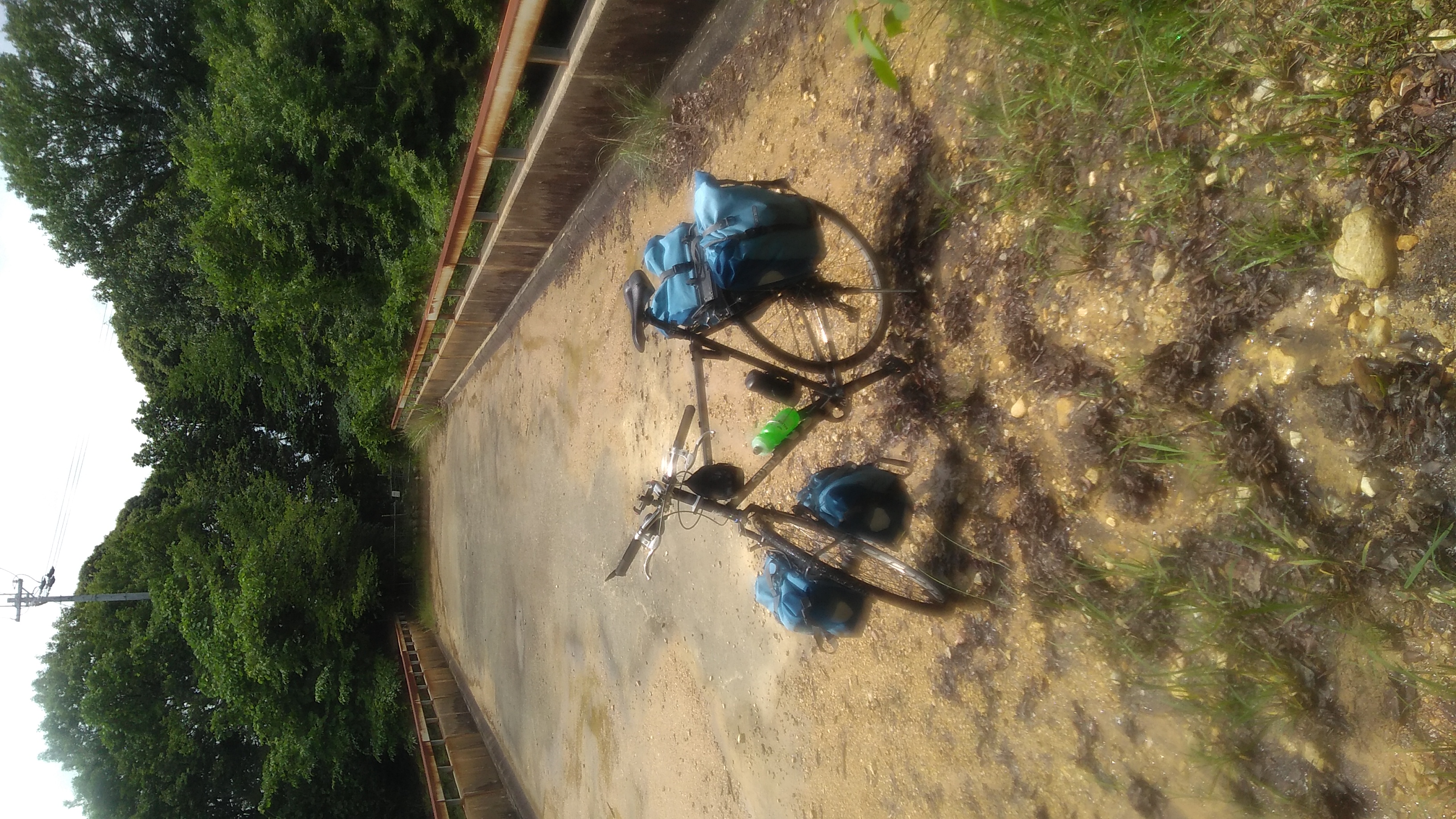 Bicycle with front and rear panniers on a bridge in the foreground, with the full span of the bridge stretching into forest shadow behind. Near the bicuycle, some scruffy weeds are growing in the thin layer of dirt accumulated on the bridge.