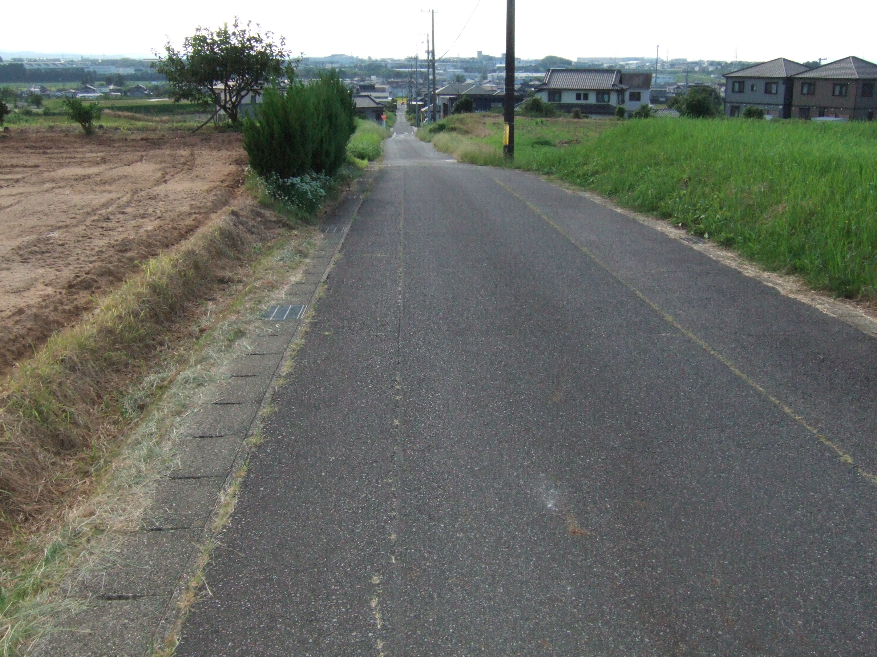 A country road, straight as far as the eye can see.