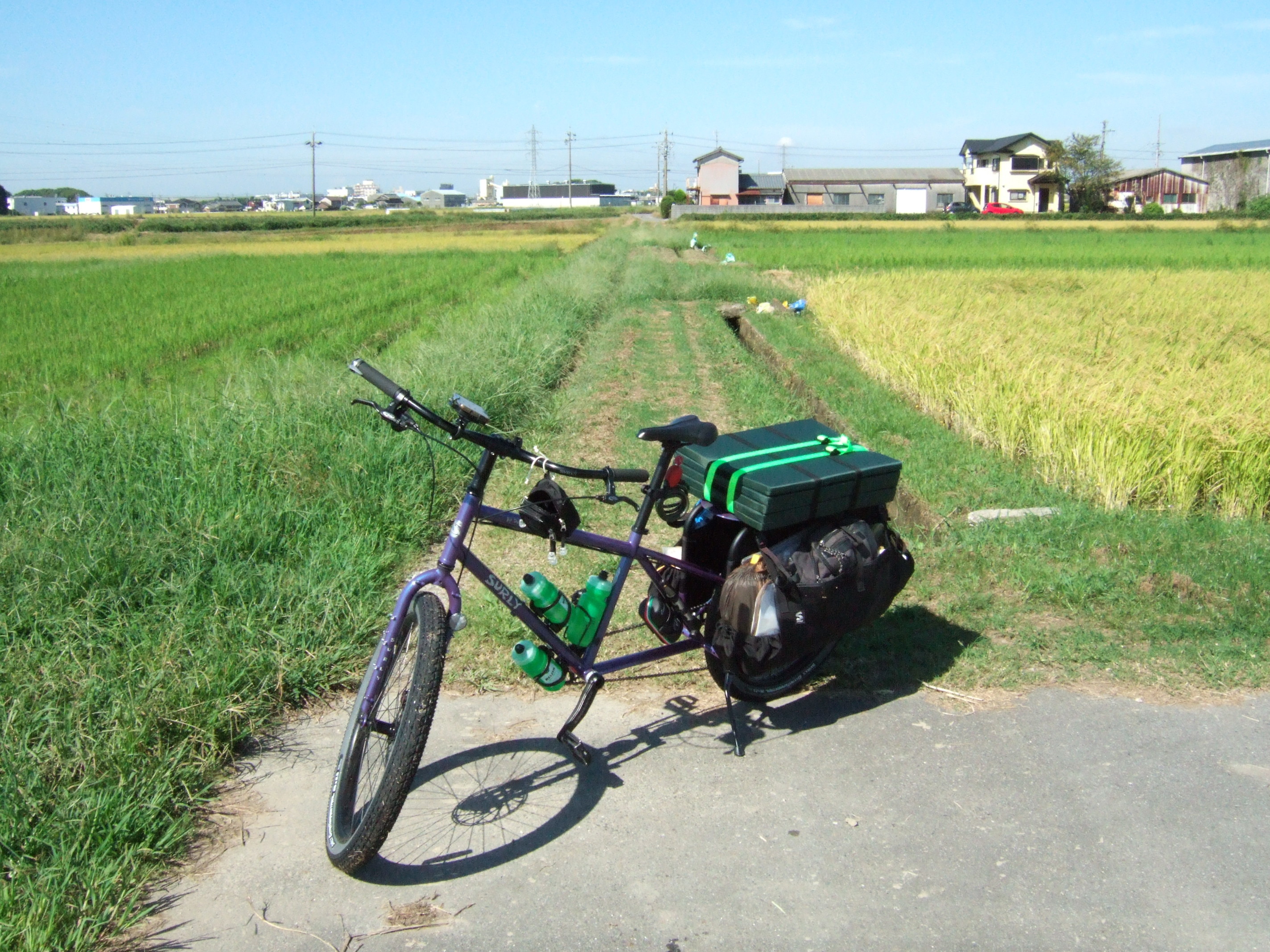 A bicycle parked at the end of a dirt road overgrown with weeds.