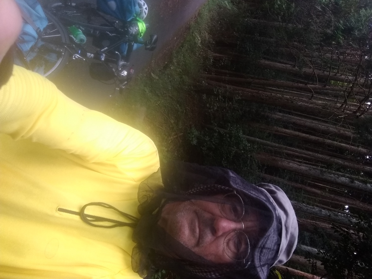 Blurry, overlit image of a man in a yellow riding jersey wearing a floppy-brim hat with drop-down mosquito net. A portion of a bicycle and some forest trees are in the background.