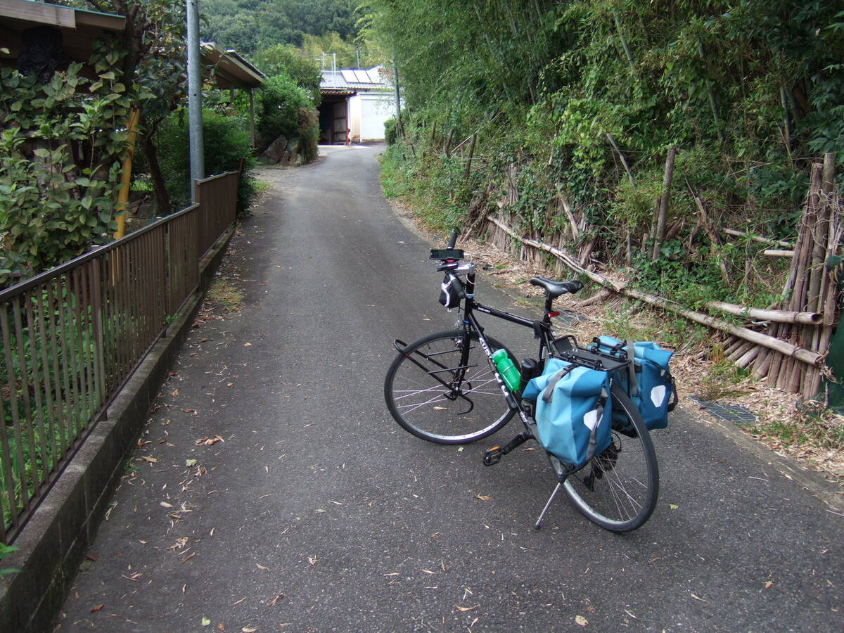 A bicycle parked on a narrow asphalt road leading into forested land.