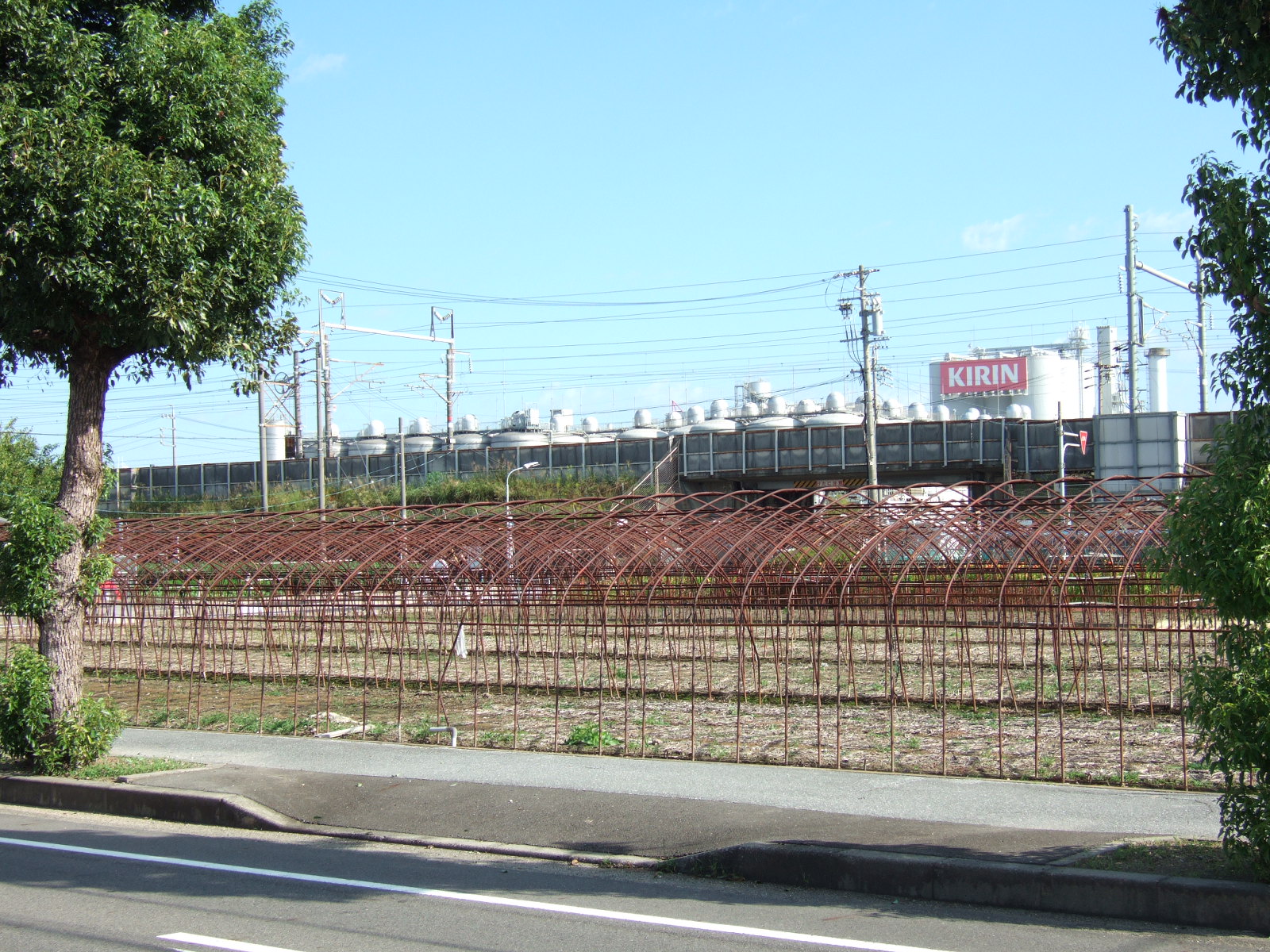 A length of large industrial steel-cage trellis to support some kind of climbing plant, currently leafless and dormant before the onset of winter, with power lines and an electrified train track visible behind, and a Kirin sign and huge brewery further in the distance peeking over that horizon.