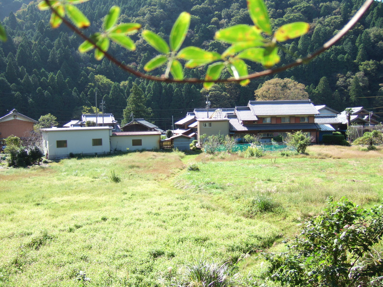 Low-lying dwellings, some with simple flat roofs, some more substantial with traditional tile roofs, lie in the distance beyond a meadow.