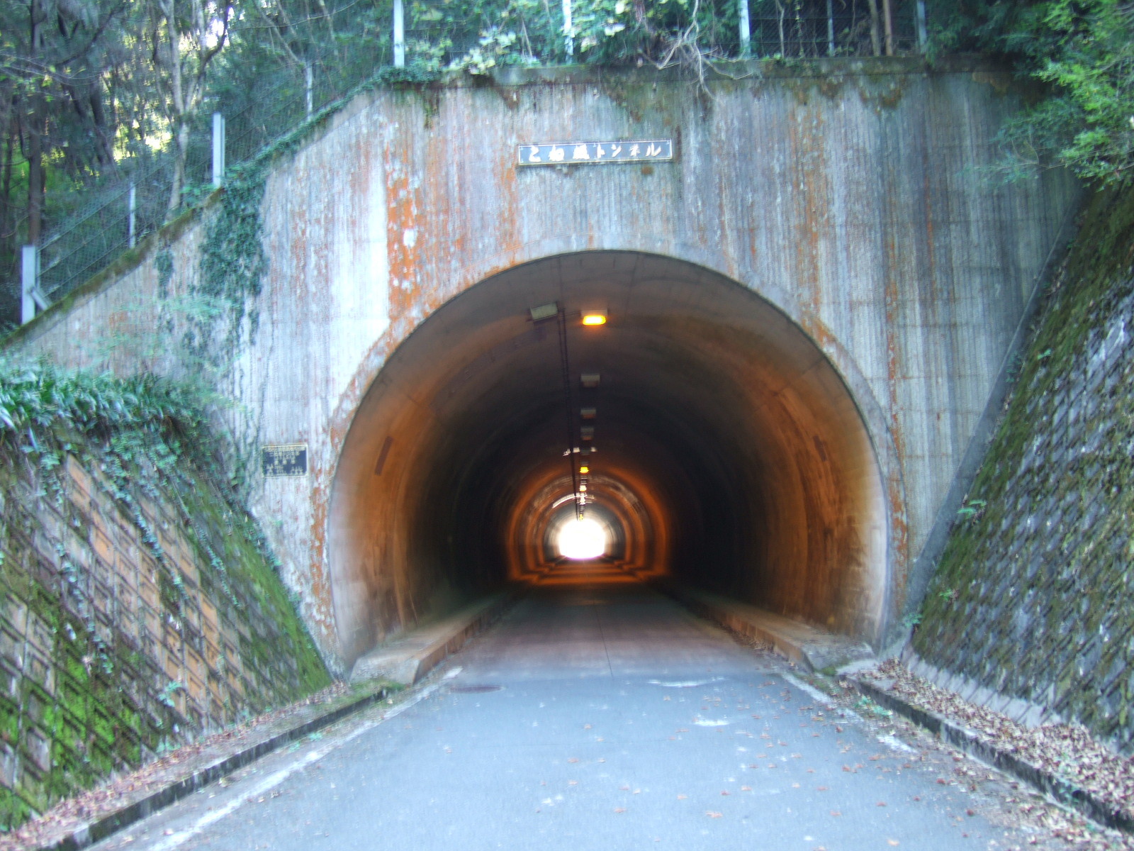 The mouth of a relatively short tunnel through a mountain, with light visible at the far end.